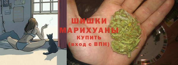 твердый Ростов