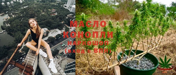 твердый Ростов
