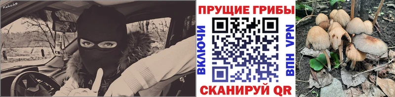 Псилоцибиновые грибы Cubensis  Сольцы 